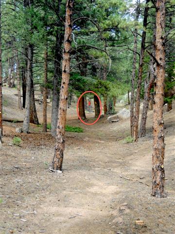 #20 Approach